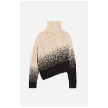 Vanessa Bruno Brunetta Wool Turtleneck Sweater In Neturals