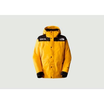 The North Face Gore Tex Waterproof Jacket