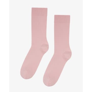 Colorful Standard Faded Pink Classic Organic Socks