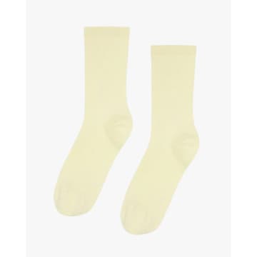 Colorful Standard Soft Yellow Classic Organic Socks