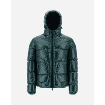 Shop Herno Green Bomber Jacket In Gloss