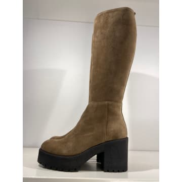 Donna Lei Knee High Sude Boots