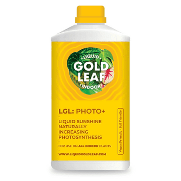 Liquid Gold Leaf Indoor Photo+ (250ml) – The Every Space