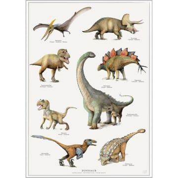 Finders Keepers Dinosaur Species Poster A4 In White