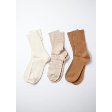Rototo Ecru/brown Organic Daily 3 Pack Ankle Socks