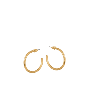 Big Metal Anthonia Halo Medium Plated Hoops Earrings In Gold