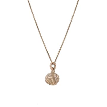 Renné Jewellery 9 Carat Trace Chain & Sea Shell