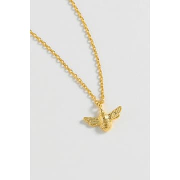 Estella Bartlett Bee Charm Necklace In Gold
