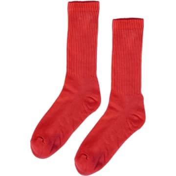 Colorful Standard Organic Active Sock In Red