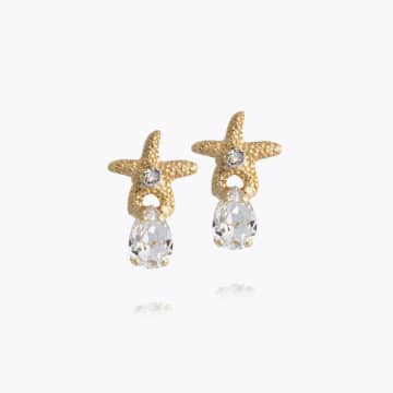 Caroline Svedbom 'mini Sea Star' Earrings In Gold