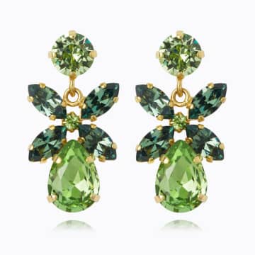 Caroline Svedbom 'mini Dione' Earrings In Green
