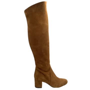Donnalei Donna Lei 'warsaw' Long Boot In Neutrals