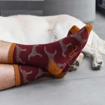 Catherine Tough Men's Dark Red Dog Lambswool Ankle Socks