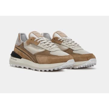 Date Lampo Trainers In Brown