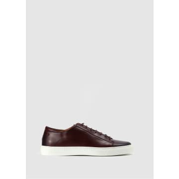 Oliver Sweeney Mens Sirolo Trainers In Burgundy In Brown