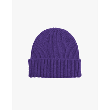 Colorful Standard Cs5081 Merino Wool Beanie Ultra Violet In Purple