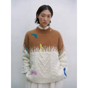 Cordera Mohair Embroidered Sweater In Brown