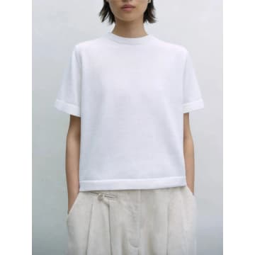 Cordera Merino Wool T-shirt In White