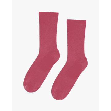 Colorful Standard Cs6002 Women Classic Organic Sock Raspberry Pink