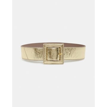 Shop Essentiel Antwerp Fumigate Belt In Gold