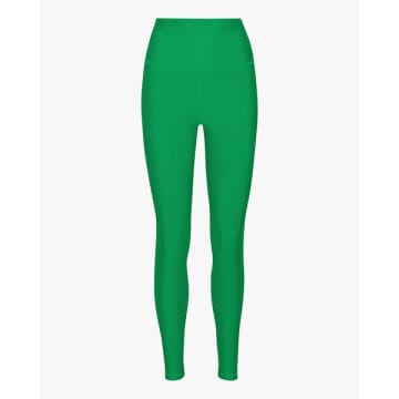 Shop Colorful Standard Active High-rise Leggings Kelly Green