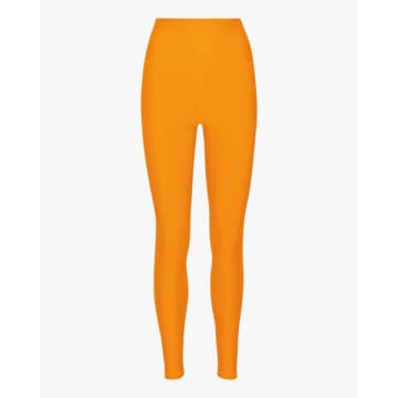 Shop Colorful Standard Active High-rise Leggings Sunny Orange
