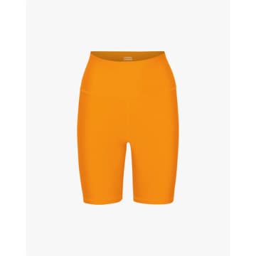 Shop Colorful Standard Active Bike Shorts Sunny Orange