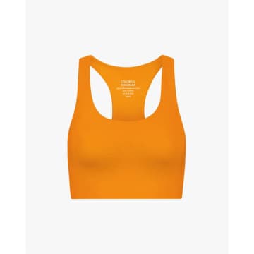Shop Colorful Standard Active Cropped Bra Sunny Orange