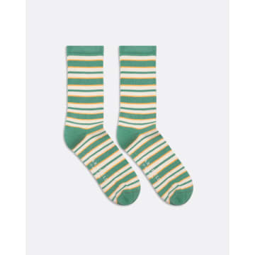 Shop Far Afield Afsk211 Ribbed Stripe Sock In Frosty Green