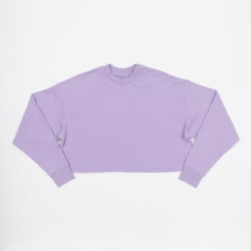 Shop Jjxx Womens Caia Cropped Sweatshirt In Lilac Purple