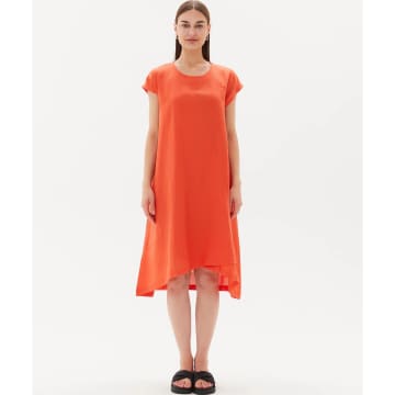 New Arrivals Tirelli Cap Sleeve Cross Over Dress In Aperol Orange