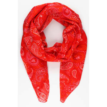 Shop Miss Shorthair Paisley Print Cotton Scarf In Red