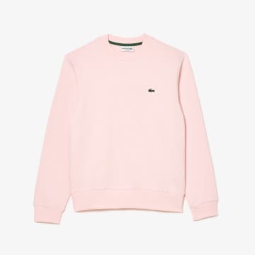 Shop Lacoste Flamingo Organic Brushed Cotton Mens Sweatshirt