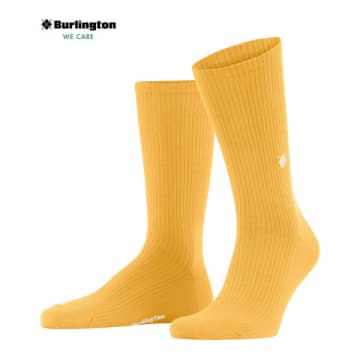 Shop Burlington Boston Sun Socks