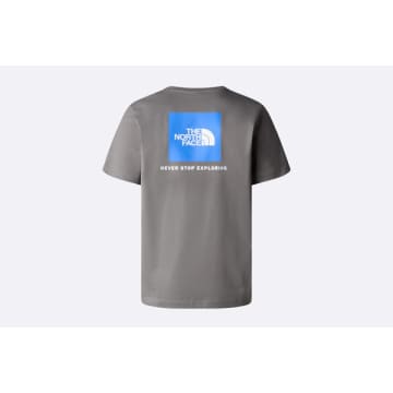 The North Face Redbox Tee Grey Blue In Gray