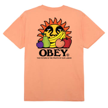 Obey The Future Is The Fruit Of Our Labor T-shirt (citrus) In Orange