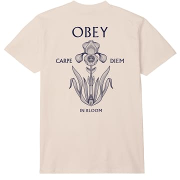 Obey Iris In Bloom T-shirt (cream) In Neutrals