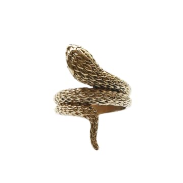 Urbiana Snake Ring In Gold