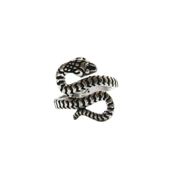 Urbiana Snake Wrap Ring In Metallic