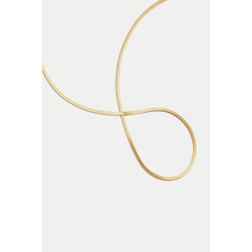 Daisy London Gold Plated Fine Snake Chain Necklace