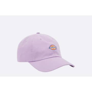 Shop Dickies Hardwick Baseball Cap Purple