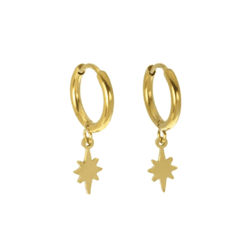 Les Cléias Acier Inoxydable Tadam Earrings In Gold