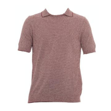 Gallia T-shirt For Man Lm U0435 919 Beck In Brown