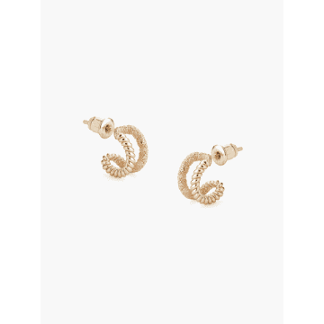 Tutti & Co Braid Earrings In Gold