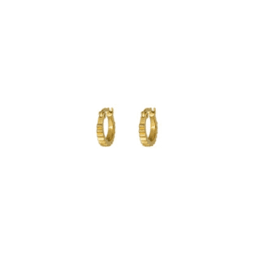 One & Eight Ltd 2494 Gold Wren Hinged Hoops