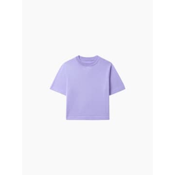 Cordera Cotton T-shirt Cardo In Purple