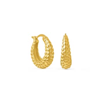 Formation Jewellery Shore Hoops In Gold