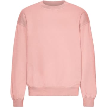Colorful Standard Bright Coral Organic Oversized Crew Jumper In Pink