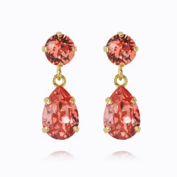 Caroline Svedbom Mini Drop Earrings In Gold Rose Peach