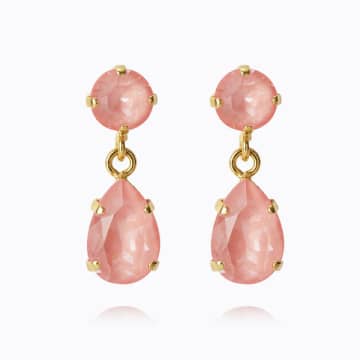 Shop Caroline Svedbom Mini Drop Earrings In Flamingo Ignite